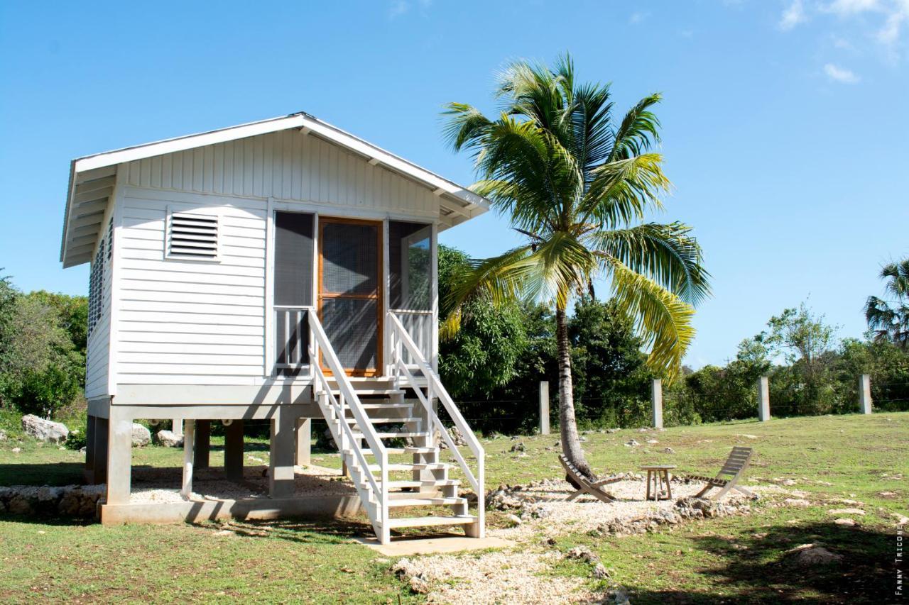 Horse Cottage Sarteneja Exterior foto