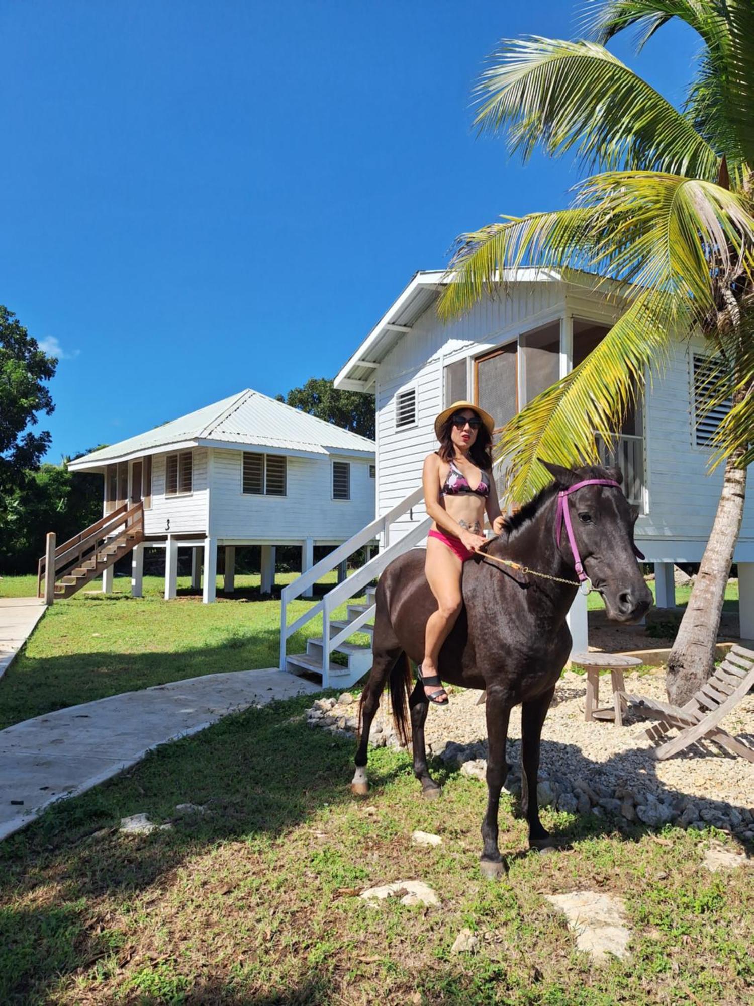 Horse Cottage Sarteneja Exterior foto
